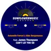 Antonello Ferrari & Aldo Bergamasco - Can't Let You Go (feat. James Thompson) - Single